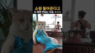 소원 내용은 정확하게 빌어야 된다구 ㅋㅋㅋ
