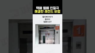 택배 엘베 대참사 해결한 레전드 비법