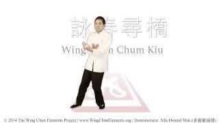 Wing Chun Chum Kiu (詠春尋橋)