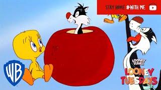 Looney Tuesdays | Iconic Duo: Tweety and Sylvester | Looney Tunes | WB Kids