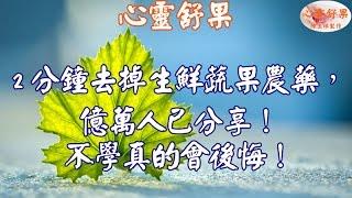 心靈舒果--2分鐘去掉生鮮蔬果農藥，億萬人已轉！不學真的會後悔！