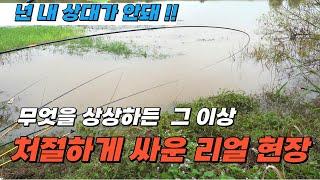 떼돈버는 유튜버 수입?  이영상 보고 다시 생각해봐#fishing #붕어낚시