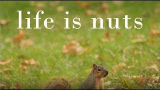 Life is Nuts: An Observational Documentary