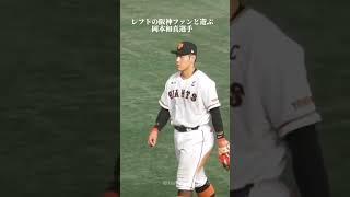 岡本と遊ぼうとする阪神ファン