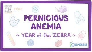 Pernicious Anemia (Year of the Zebra)