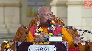 H.H Lokanath Swami Maharaj || Srimad Bhagavatam || 10.66.23 || 08.11.2024 ||