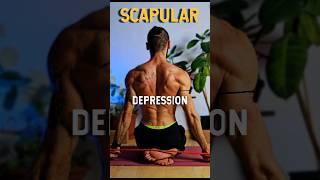Scapular Mobilization & Rotator Cuff Health #scapularmobility #shoulderhealth #shouldermobility
