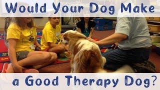 What Makes a Good Therapy Dog | Therapy Dog Training and Tips