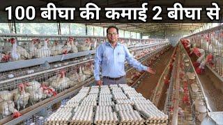 MBA के बाद शुरू किया Layer Poultry Farm | Layer Poultry Farming | Egg Poultry Farm Business Plan