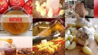 How to make DIY immune booster for day old chicks. My secrete to healthy chicks and zero mortality