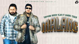 MALANG | GHANI TIGER x TAYYAB AMIN TEJA | PROD @zpmusic786 PUNJABI SONG 2025