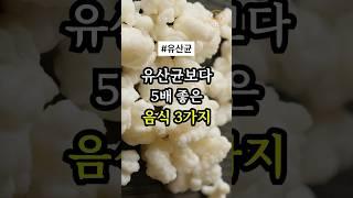 유산균보다 5배 좋은 음식 3가지 #건강정보  #유산균
