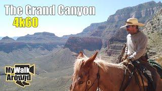 Hiking the Grand Canyon from top to bottom (river) and back up! [4k60] walking video