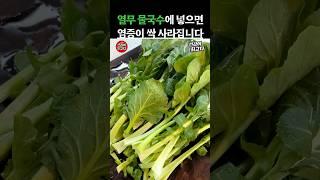 열무물국수에 ‘이것’ 염증이 싹 사라집니다 #건강정보 #음식