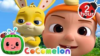 Chase Chase Chase! ‍️ | Cocomelon - Nursery Rhymes | Fun Cartoons For Kids