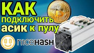 Как подключить asic к пулу найсхеш/nicehash?