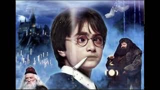 Harry Potter and The Chamber of Ass chapter 1 and 2