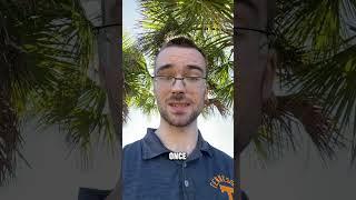  THEY LIED TO YOU ABOUT THE BITCOIN ETF #cryptocurrencyinvestment #understandingbitcoin