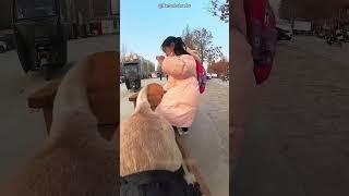 This Loyal Dog Surprised His Owner ️