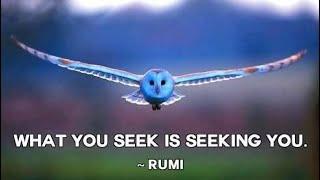 Rumi ~ 𝐈𝐧𝐭𝐨 𝐄𝐭𝐞𝐫𝐧𝐢𝐭𝐲  ~ Sufi Mysticism