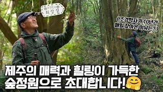 [ SUB ] 숲, 나의 정원 Forest, my garden | 정원의 발견 Wonders of Garden | KBS제주20240216 방송