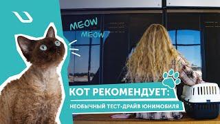 Кот рекомендует: необычный тест-драйв юнимобиля|Cat recommends: an unusual test drive of the uPod