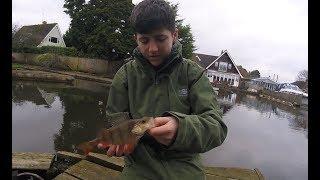 Perch and pike fishing at Wroxham