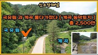 (607번)#계곡과 국유림 둘다가진 농막토지#경북땅#울진땅#의성땅#토지매매#영덕땅#안동땅#봉화땅#체류형쉼터#힐링쉼터#자연인땅#시골땅#오지땅#촌땅#싼땅#불영계곡#금강송#경북부동산