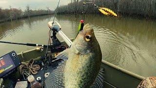 "Jigs with live minnows & Winter beetle spin tips for Crappie fishing"