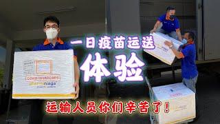 Vlog 马来西亚是怎么运送疫苗的?! DBstory Malaysia Vlog How Malaysia's vaccines were transported