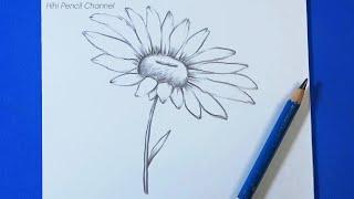 How to Draw a Daisy Flower Step by Step | Hihi Pencil