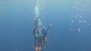 Digital"Aqua"Nomad/Passport Bro Freediving alongside Scubadivers at  Sea 