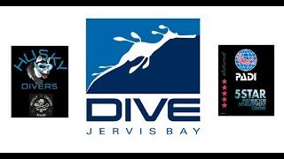 Introduction to Dive Jervis Bay