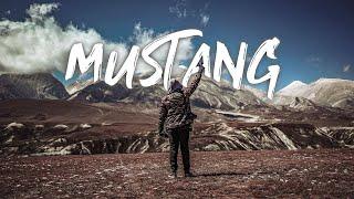 Mustang, Lete during Lockdown | S02E02 | 4K