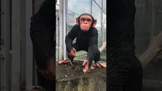 Klaipėdos zoologijos sodas 