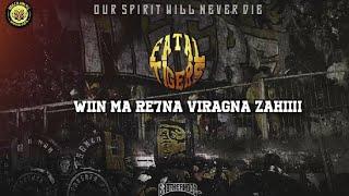 NEW CHANT ULTRAS FATAL TIGERS 2006 | WIN MA RE7NA VIRAGNA ZAHI 