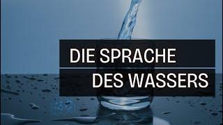 Wasser als Informationsträger