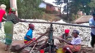 The Usambara Mountains, Tanzania