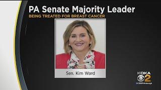 State Senate Majority Leader Kim Ward Reveals She Was Diagnosed With Breast Cancer