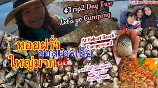 Trip2 Day2 Let’s go camping at Hobart Beach Campground. แค้มป์ปิ้งวันที่2 เก็บหอยแครง หอยนางรม