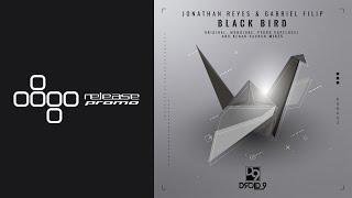 Gabriel Filip & Jonathan Reyes - Black Bird (Pedro Capelossi Remix) [Droid9]