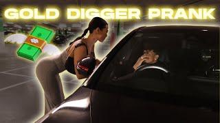 I DID A GOLD DIGGER PRANK