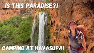 CAMPING AT HAVASU FALLS ARIZONA!