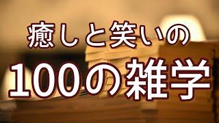 キューピーの本名は「キユーピー」｜癒しと笑いの聞き流し雑学100選（vol.1）｜女性ボイス｜朗読ラジオ｜睡眠導入｜作業用｜朗読雑学｜