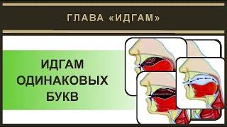 Айман Сувейд. 4. Идгам одинаковых (русские субтитры)