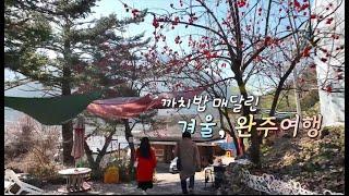완주(화첩기행 609회) ~겨울 까치밥, 대둔산 그리메  한수희화백과, 국악인 강다은의 감동 여행기. 곶감의왕 고종시, 상관편백숲, 만경강, 송만규화백의 대자연의 감동영상