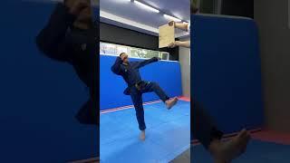8 Taekwondo kicks / 8 best tricks!