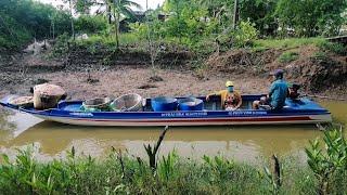 Dân biển quê tôi trúng đậm mùa ruốt | Phiêu Lưu Đất Bạc