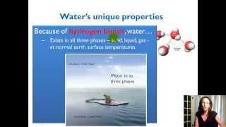 Unique Properties of Water