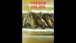 진해더블피싱 9.77톤 먼바다 루어전용선 한치 낚시 예약 010-6668-1782 #진해더블피싱 #한치이카메탈 #한치오모리 #갈치지깅 #갈치텐야 #갈치텐빈 #참돔타이라바 #무늬팁런